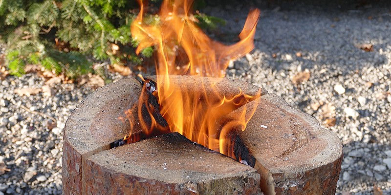 Energieholz